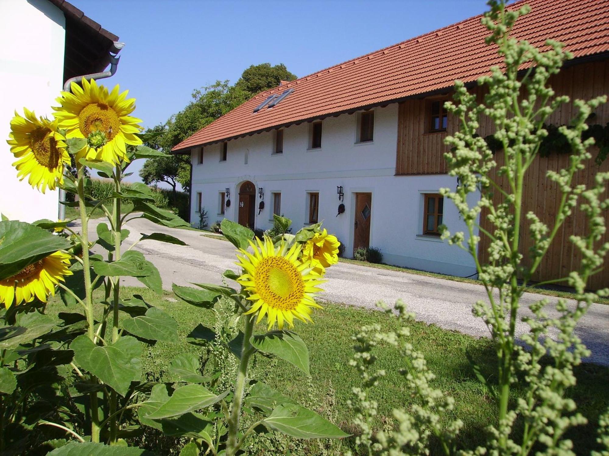 Apartment Vitalhof Roithinger