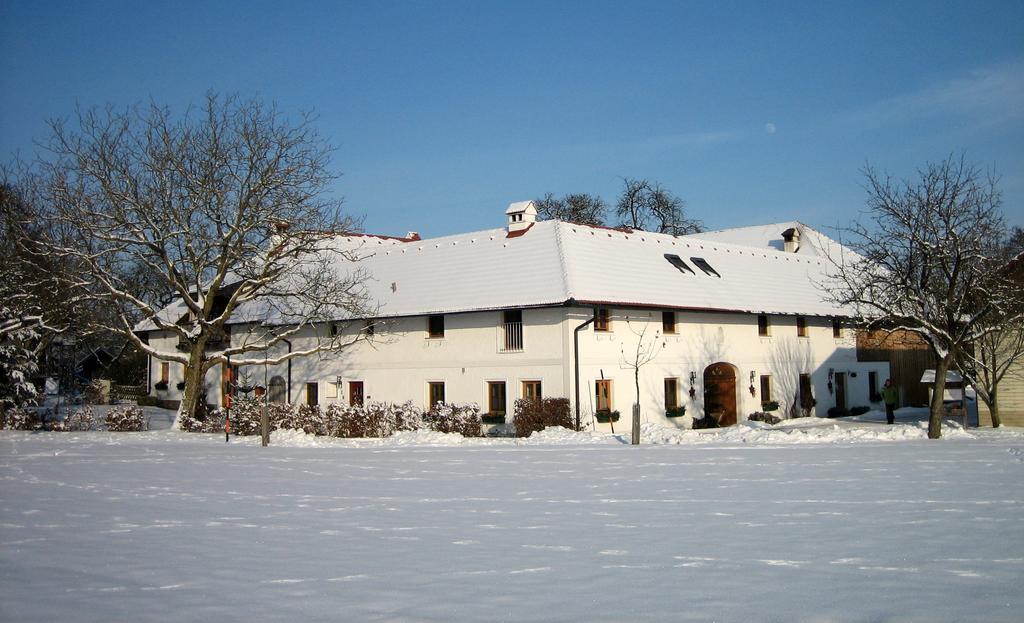 Vitalhof Roithinger Apartment